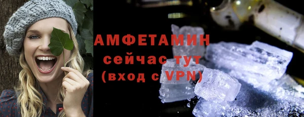 гидра Абаза