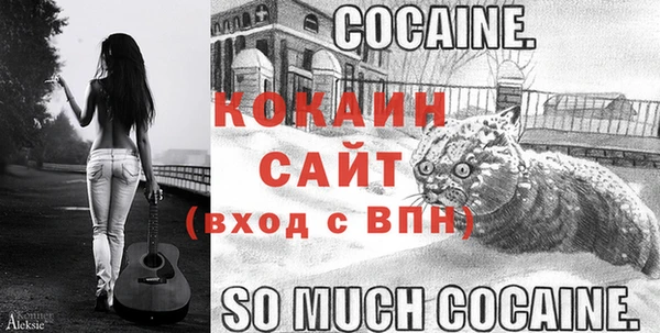 гидра Абаза