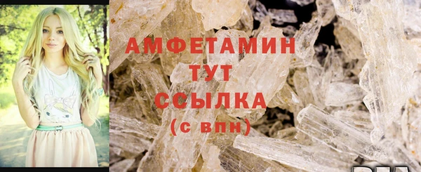 гидра Абаза