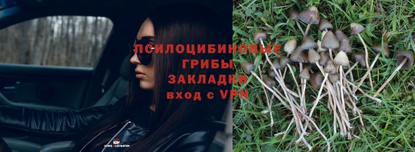 не бодяженный Абдулино