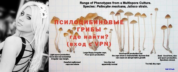 не бодяженный Абдулино