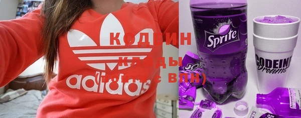 гидра Абаза