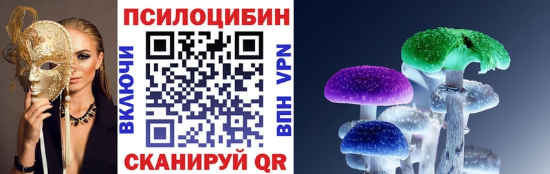 Галлюциногенные грибы GOLDEN TEACHER  где найти   Катав-Ивановск 