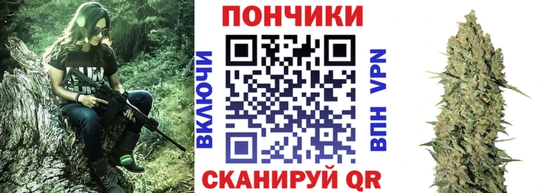 продажа наркотиков  Катав-Ивановск  это как зайти  Бошки марихуана семена  KRAKEN зеркало 